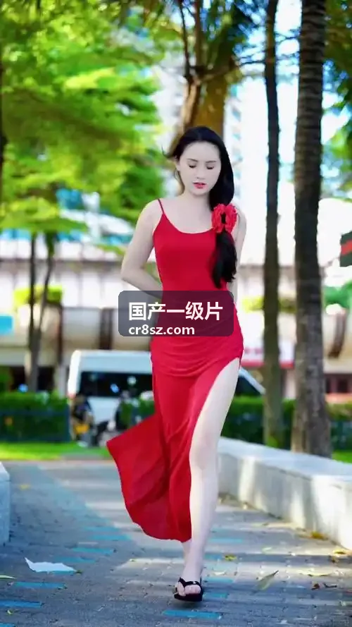 国产一级片画质顾问 赵恺
